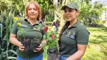 Gran jornada de ‘Distrito más Verde’ se realizó con éxito en la Comuna 17 de Cali