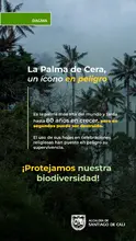 El Dagma lidera acciones para preservar la naturaleza con miras a Semana Santa: se entregarán 2000 plantas ornamentales 