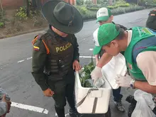 Dagma y Policía Ambiental intensifican controles al tráfico y  comercialización de fauna y flora silvestre