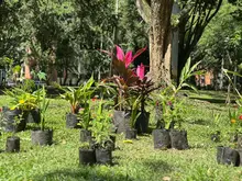 Administración Distrital avanza en la recuperación de espacios públicos: el parque de Mayapán es ejemplo de transformación colectiva