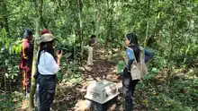 Más de 870 liberaciones de fauna silvestre se han realizado en Cali  durante 2025: Dagma
