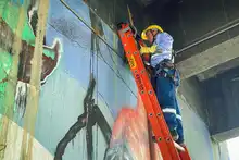 Con la estrategia ‘Volvamos a mi Cali Bella, la Alcaldía lideró una jornada para recuperar el ‘paraíso del chontaduro’