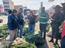 Autoridades ambientales incautan piel y caparazón de animales silvestres en el centro de Cali