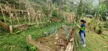 Las huertas comunitarias de los comedores promueven el cuidado del medio ambiente en los territorios