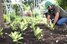El Dagma se pone la camiseta de la ‘Maratón de Cali 2025’: autoridad ambiental despliega un plan de ajardinamiento en la ciudad 
