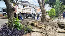 En una gran jornada de recuperación, limpieza y educación ambiental, la Alcaldía llegó hasta la Comuna 19 con ‘Distrito más Verde’ 