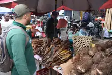 Golpe al trágico de fauna silvestre en La Casona