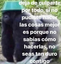 80415d3694e3b6acd8df26f22514502d