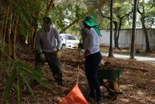 Lago de la Babilla y el Parque Lineal de Ciudad Jardín, lucen más verdes y limpios tras jornada liderada por la Alcaldía de Cali