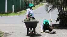 Lago de la Babilla y el Parque Lineal de Ciudad Jardín, lucen más verdes y limpios tras jornada liderada por la Alcaldía de Cali