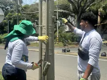 Esfuerzo entre Alcaldía de Cali y comunidad permite la recuperación del Parque de la Música 