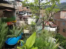 Verónica Jiménez: liderazgo que trasciende sobre la mesa de Brisas de Mayo