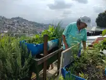 Verónica Jiménez: liderazgo que trasciende sobre la mesa de Brisas de Mayo