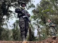Operativos de control de autoridades y Alcaldía combaten los delitos ambientales: en Cali se recupera y protege nuestra riqueza natural