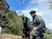 Operativos de control de autoridades y Alcaldía combaten los delitos ambientales: en Cali se recupera y protege nuestra riqueza natural