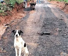 ¡Sin parar! Secretaría de Infraestructura seguirá tapando huecos y recuperando vías durante la Semana Santa
