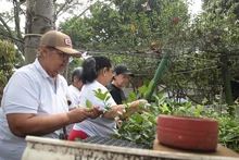 Huertas comunitarias: una oportunidad de la Alcaldía de Cali para  sembrar esperanza