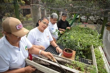 Huertas comunitarias: una oportunidad de la Alcaldía de Cali para  sembrar esperanza