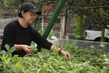 Huertas comunitarias: una oportunidad de la Alcaldía de Cali para  sembrar esperanza