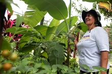 Huertas comunitarias: una oportunidad de la Alcaldía de Cali para  sembrar esperanza