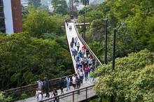Cali respira naturaleza: fauna y flora brillan en 2,6 kilómetros del Sendero a Cristo Rey