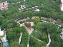 Cali respira naturaleza: fauna y flora brillan en 2,6 kilómetros del Sendero a Cristo Rey