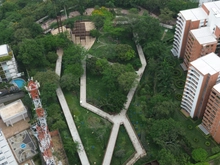 Cali respira naturaleza: fauna y flora brillan en 2,6 kilómetros del Sendero a Cristo Rey