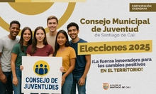 Piezas_Consejo_Municipal_Juventud_Boletin Externo
