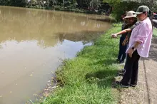 DAGMA evalúa afectaciones en el Humedal La Babilla