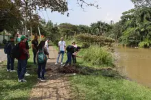 DAGMA evalúa afectaciones en el Humedal La Babilla