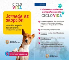 Ciclovida 3 20-04-2025