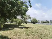 Así avanza el proceso de recibo de zonas verdes y áreas de cesión en proyectos urbanísticos en Cali