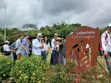 “Entendí por qué a Cali le dicen la sucursal del cielo”:  Young Hoon Kwaak