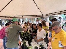 Caleños que transitaban por el CAM conocieron todos los detalles del ‘Predial Social’ y disfrutaron de oferta institucional de la Alcaldía