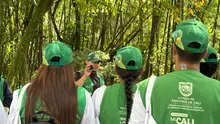 Alcaldía promueve el reciclaje con socialización de rutas en cuatro  barrios de Cali