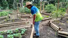 Hasta la comuna 4 de Cali llegó el reconocido urbanista coreano Young-Hoon Kwaak, quien destacó el “Ecobarrio Calima”
