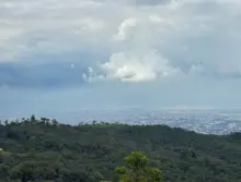 Un hecho sin precedentes: Alcaldía de Cali recorre junto a las comunidades indígenas los territorios sagrados del ‘Camino Ancestral’