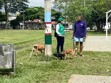 Más de 100 personas de la Comuna 19 participaron en la jornada ‘Mi Cali Bella Distrito Verde’