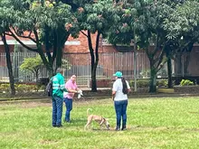 Más de 100 personas de la Comuna 19 participaron en la jornada ‘Mi Cali Bella Distrito Verde’