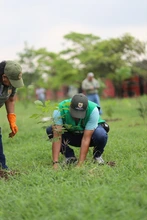 ‘Día Nacional del Árbol’: en la Comuna 15 se sembrarán más árboles por una Cali verde y sostenible