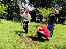 Cali conmemoró el ‘Día Mundial del Árbol’ con jornada de siembra responsable en la Comuna 15
