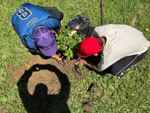 Cali conmemoró el ‘Día Mundial del Árbol’ con jornada de siembra responsable en la Comuna 15