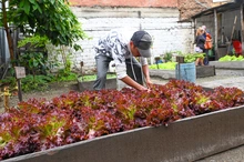 Programa ‘Habitante de Calle’ de la Alcaldía de Cali, mucho más que un plato de comida