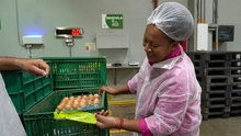 Comedores comunitarios han entregado más de 3 millones de raciones en lo que va del año: conozca todos los detalles en ¡Pa’ que Veás!
