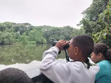  Con jornada de avistamiento matutina en el eco-parque Lago de las Garzas, Cali despedirá a las aves migratorias 