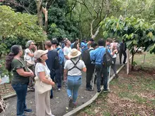  Con jornada de avistamiento matutina en el eco-parque Lago de las Garzas, Cali despedirá a las aves migratorias 