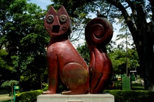 El Gato del Rio Cali