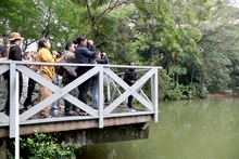 Caleños despidieron a las aves migratorias que inician su viaje al hemisferio norte 