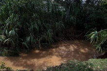 Acciones a corto, mediano y largo plazo son evaluadas por la Secretaría de Gestión del Riesgo para mitigar impacto del invierno en la comuna 17