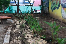 Los barrios Santa Isabel, Santa Anita y El Hoyo tendrán renovados parques y zonas verdes 